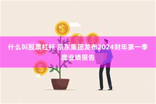 什么叫股票杠杆 京东集团发布2024财年第一季度业绩报告