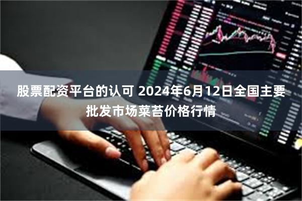 股票配资平台的认可 2024年6月12日全国主要批发市场菜苔价格行情