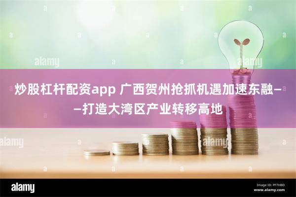 炒股杠杆配资app 广西贺州抢抓机遇加速东融——打造大湾区产业转移高地