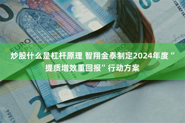 炒股什么是杠杆原理 智翔金泰制定2024年度“提质增效重回报”行动方案