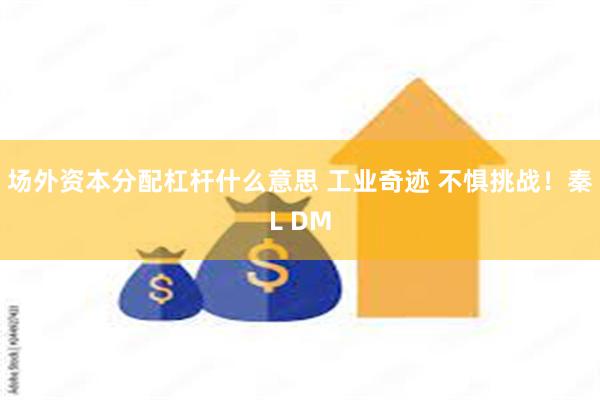 场外资本分配杠杆什么意思 工业奇迹 不惧挑战！秦L DM