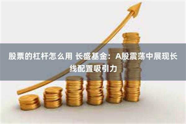 股票的杠杆怎么用 长盛基金：A股震荡中展现长线配置吸引力