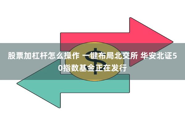 股票加杠杆怎么操作 一键布局北交所 华安北证50指数基金正在发行