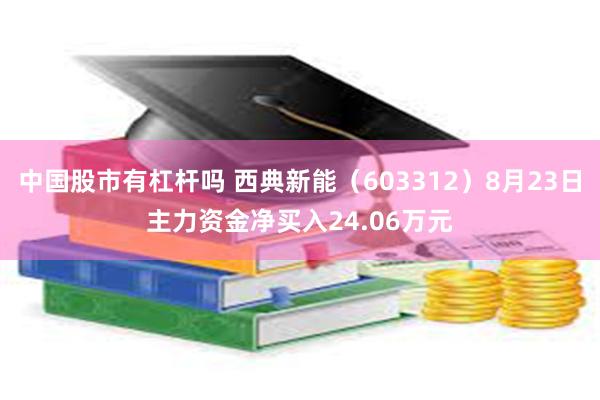 中国股市有杠杆吗 西典新能（603312）8月23日主力资金净买入24.06万元