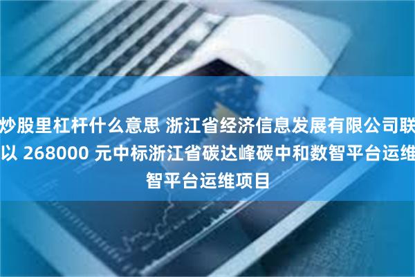 炒股里杠杆什么意思 浙江省经济信息发展有限公司联合体以 268000 元中标浙江省碳达峰碳中和数智平台运维项目