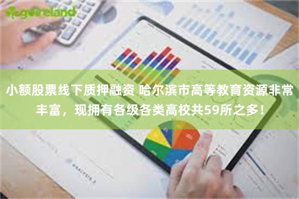 小额股票线下质押融资 哈尔滨市高等教育资源非常丰富，现拥有各级各类高校共59所之多！