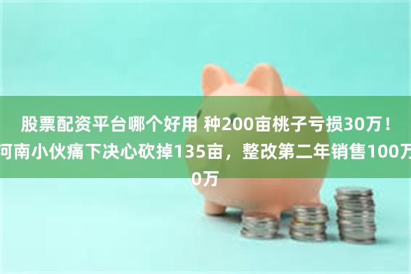 股票配资平台哪个好用 种200亩桃子亏损30万！河南小伙痛下决心砍掉135亩，整改第二年销售100万