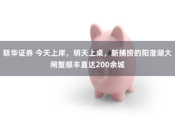 联华证券 今天上岸，明天上桌，新捕捞的阳澄湖大闸蟹顺丰直达200余城