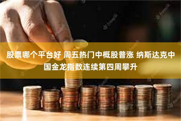 股票哪个平台好 周五热门中概股普涨 纳斯达克中国金龙指数连续第四周攀升