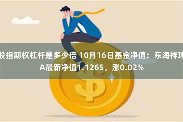 股指期权杠杆是多少倍 10月16日基金净值：东海祥瑞A最新净值1.1265，涨0.02%