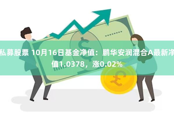 私募股票 10月16日基金净值：鹏华安润混合A最新净值1.0378，涨0.02%