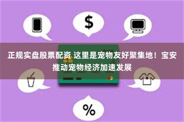 正规实盘股票配资 这里是宠物友好聚集地！宝安推动宠物经济加速发展