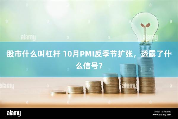 股市什么叫杠杆 10月PMI反季节扩张，透露了什么信号？