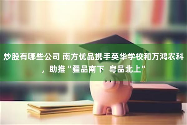 炒股有哪些公司 南方优品携手英华学校和万鸿农科，助推“疆品南下  粤品北上”