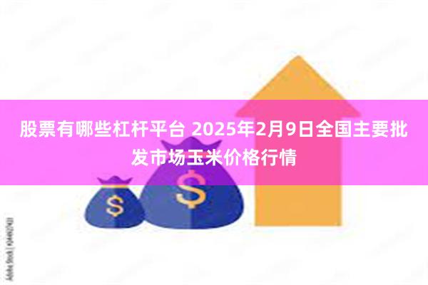 股票有哪些杠杆平台 2025年2月9日全国主要批发市场玉米价格行情