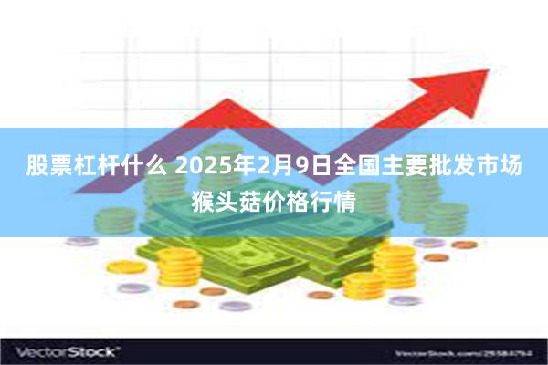 股票杠杆什么 2025年2月9日全国主要批发市场猴头菇价格行情