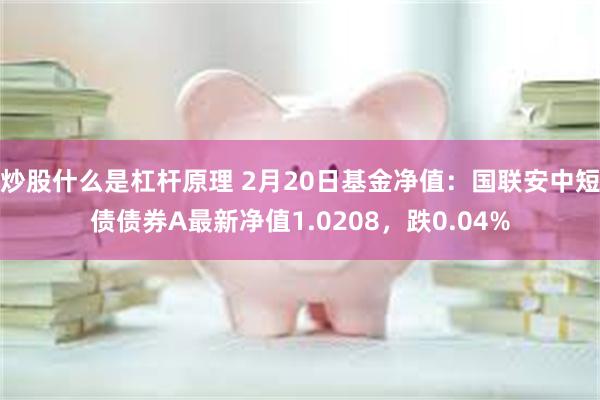 炒股什么是杠杆原理 2月20日基金净值：国联安中短债债券A最新净值1.0208，跌0.04%