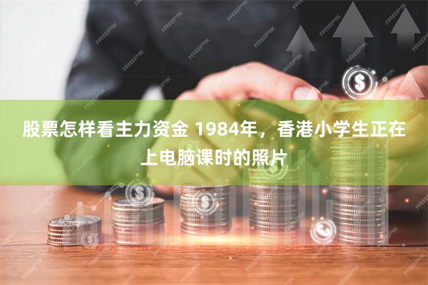 股票怎样看主力资金 1984年，香港小学生正在上电脑课时的照片