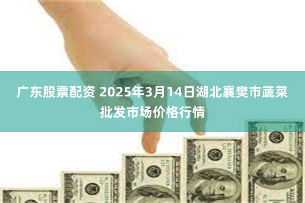 广东股票配资 2025年3月14日湖北襄樊市蔬菜批发市场价格行情