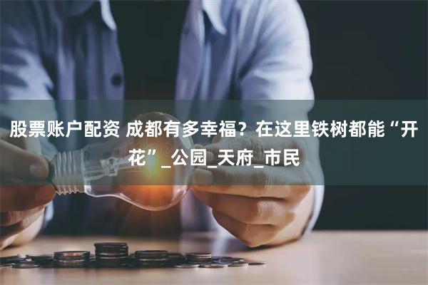 股票账户配资 成都有多幸福?在这里铁树都能“开花”_公园_天府_市民