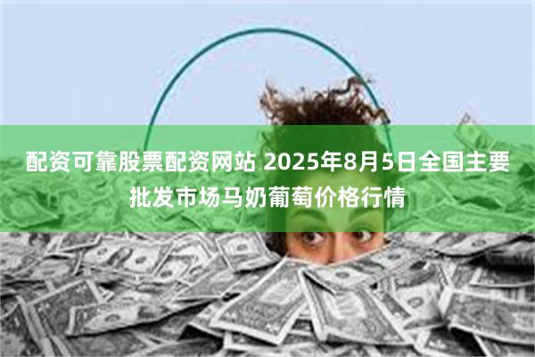 配资可靠股票配资网站 2025年8月5日全国主要批发市场马奶葡萄价格行情