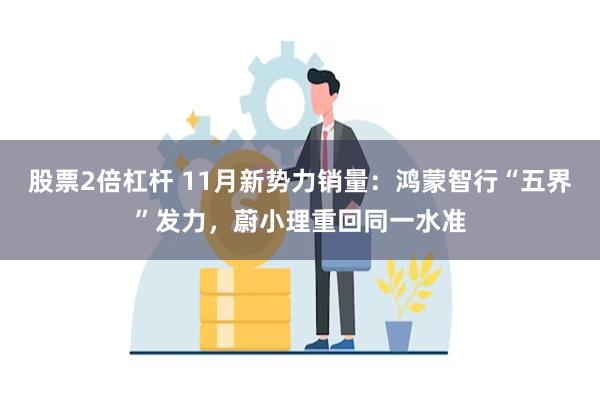 股票2倍杠杆 11月新势力销量：鸿蒙智行“五界”发力，蔚小理重回同一水准