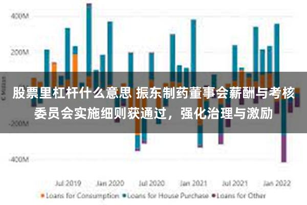 股票里杠杆什么意思 振东制药董事会薪酬与考核委员会实施细则获通过，强化治理与激励