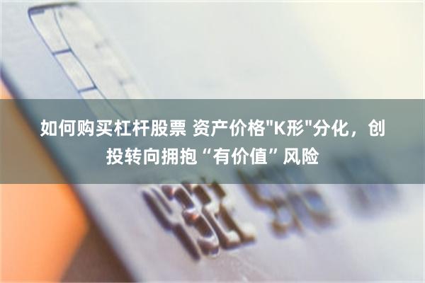 如何购买杠杆股票 资产价格"K形"分化，创投转向拥抱“有价值”风险