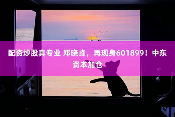 配资炒股真专业 邓晓峰，再现身601899！中东资本加仓